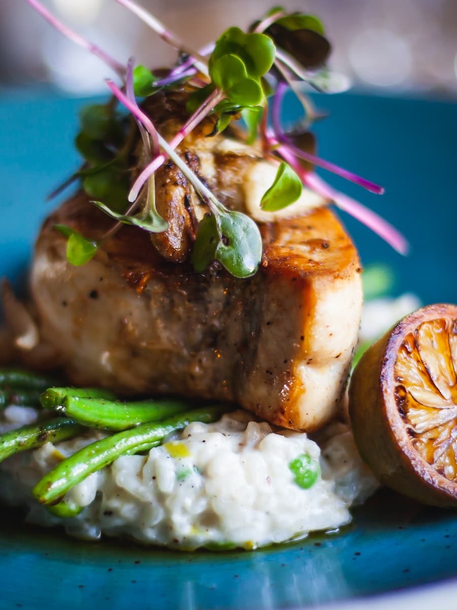 Fine-dining dish viewed from above with vibrant ingredients on a white ceramic plate.